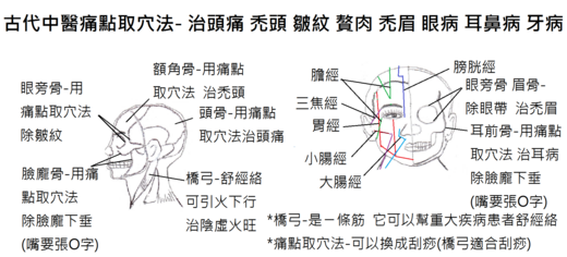 古代中醫痛點取穴法保養及治療 禿頭禿眉臉部皺紋贅肉 適意藤的部落格 Udn部落格