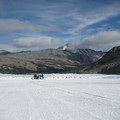 Columbia Icefield---- Glacier
