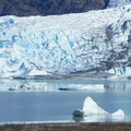 阿拉斯加冰河-2