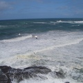 muriwai beach