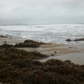 moeraki boulder