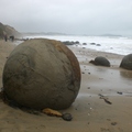 moeraki boulder