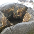 moeraki boulder