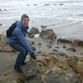 moeraki boulder