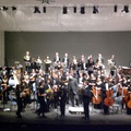 auckland youth orchestra