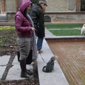 lady with cat in sforzesco castle