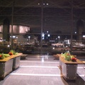 成田機場東京再見