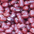 紅豆---大寮盛產