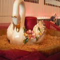 可愛的陶瓷天鵝。