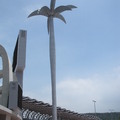 椰子樹~~象徵熱情的熱帶南方。