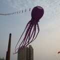 大章魚風箏