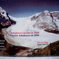 阿薩巴斯卡冰河逐年消退