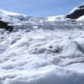 有八條冰河，源頭來自哥倫比亞冰原，其中阿薩巴斯卡冰河最有名且遊客能到此一遊