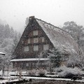 生平第一次在雪中賞景
竟是在日本白川鄉合掌村
三月遇雪
真是有夠幸運‧‧‧