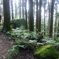 加里山登高