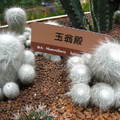 2010/1/20 新生公園區 - 10