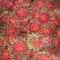 熱帶水果：果王榴槤、果后山竹、葡萄珊、露姑蘭珊、波羅蜜、紅毛丹
本圖片為筆者所拍攝
