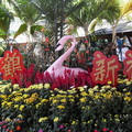 新加坡裕廊飛禽公園 - 1