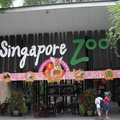  新加坡動物園 - 2