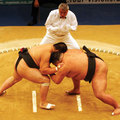 相撲比賽