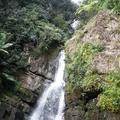 熱帶雨林  小瀑布
