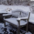 公園裡的木椅，成了雪「沙發」