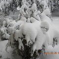 2/26/2010  更多雪！ - 2