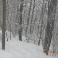2/26/2010  更多雪！ - 5