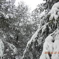 2/25~26/2010  更多雪！ - 3