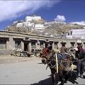 西藏與喜瑪拉雅山 - 3