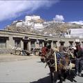 西藏與喜瑪拉雅山 - 3