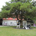 乳牛雕像廣場