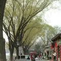 今日驚蛰,昨晚.北京雨加雪
北京難得大太陽與藍天無雲
午後煙袋斜街-十剎海-帽兒胡同再至南羅鼓巷
看看過客酒吧--炒豆胡同-可園
看看驚蛰後初春的十剎海
