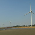 白沙屯海邊的風車 - 1