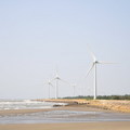 白沙屯海邊的風車 - 5