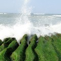 老梅海邊~綠石槽 - 1