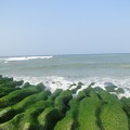 老梅海邊~綠石槽 - 2