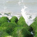 老梅海邊~綠石槽 - 4