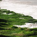 老梅海邊~綠石槽 - 1