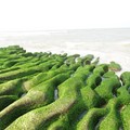 老梅海邊~綠石槽 - 2
