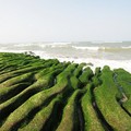 老梅海邊~綠石槽 - 3