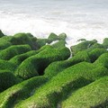 老梅海邊~綠石槽 - 5