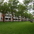 東海大學的校舍