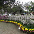 2009 臺北花卉展 - 1