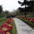 2009 臺北花卉展 - 4