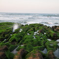 老梅海邊的綠石槽 - 2
