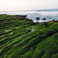 老梅海邊的綠石槽 - 3