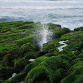 老梅海邊的綠石槽 - 5