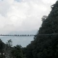 奧萬大吊橋 - 5