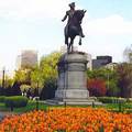 Boston Common Park